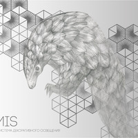 Модульная система декоративного освещения "Armis"