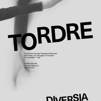 Серия плакатов фестиваля современного танца