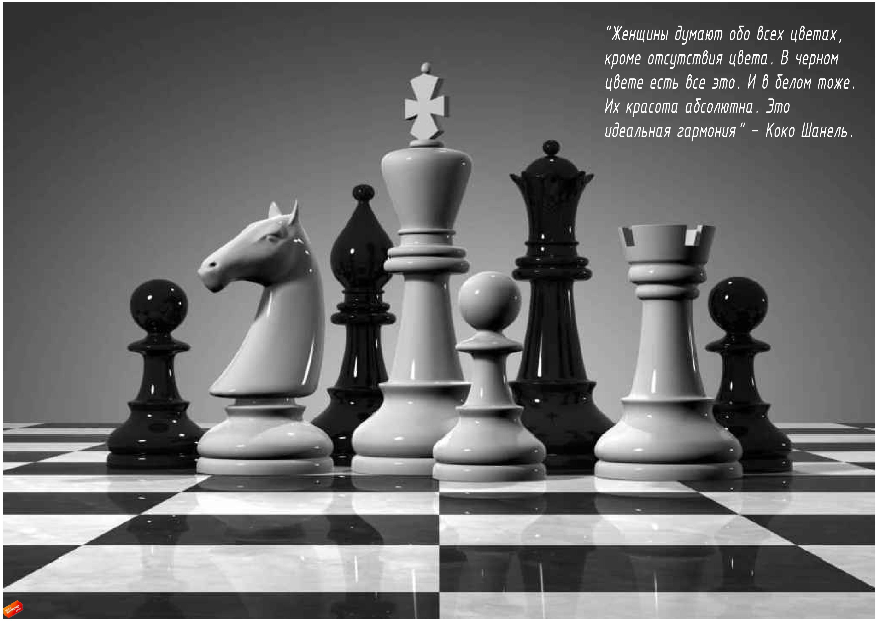 Шахматы картинки. Nemtzev shahmati. Король и ферзь в шахматах. Шахматы красивые. Шахматная доска с фигурами.