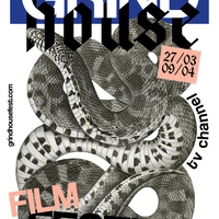 Серия плакатов и дизайн сайта для кинофестиваля Grindhouse