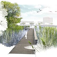 Дизайн - концепция архитектурно-ландшафтного и декоративно-средового обустройства парковой зоны 