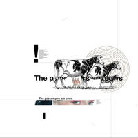 DADA book